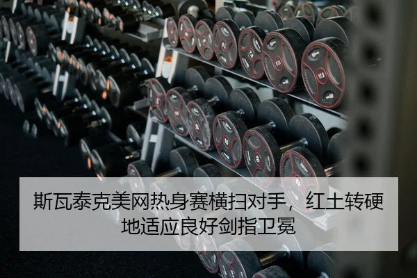 si-wa-tai-ke-mei-wang-re-shen-sai-heng-sao-dui-shou-hong-tu-zhuan-ying-di-shi-ying-liang-hao-jian-zhi-wei-mian-2-686.jpg